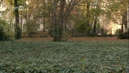 Un ancien chef de la gestapo enterré dans un cimetière juif 01-11-2013