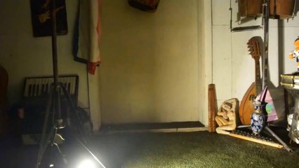 Call of Duty: Zombies in Real Life