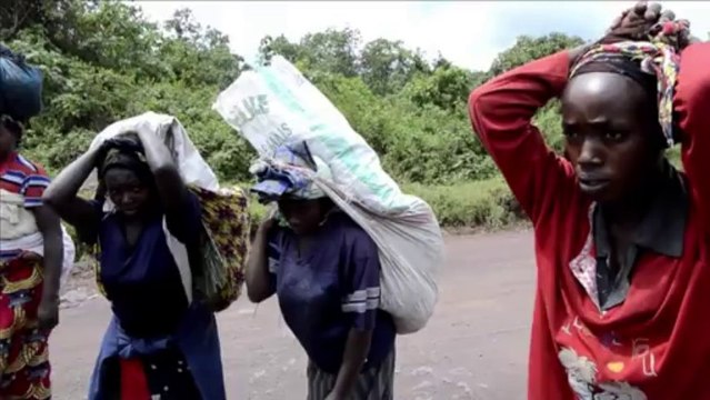 DRC forces drive M23 rebels out of the east of the country