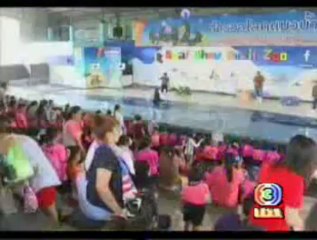 CH3 Recording from October 24, 2013 at 20:13