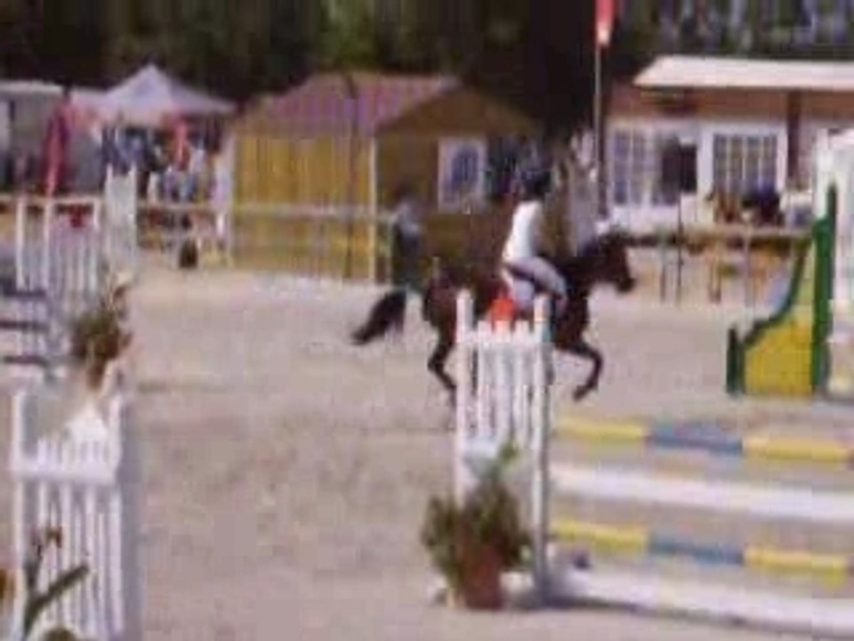 lamotte 2006