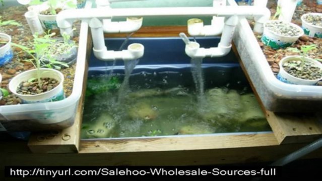 easy diy aquaponics review + bonus + discount