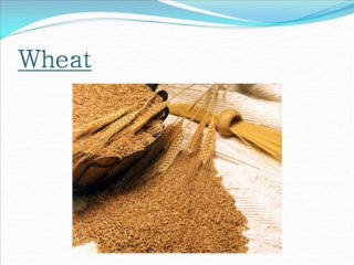 Leading Agro Exporter