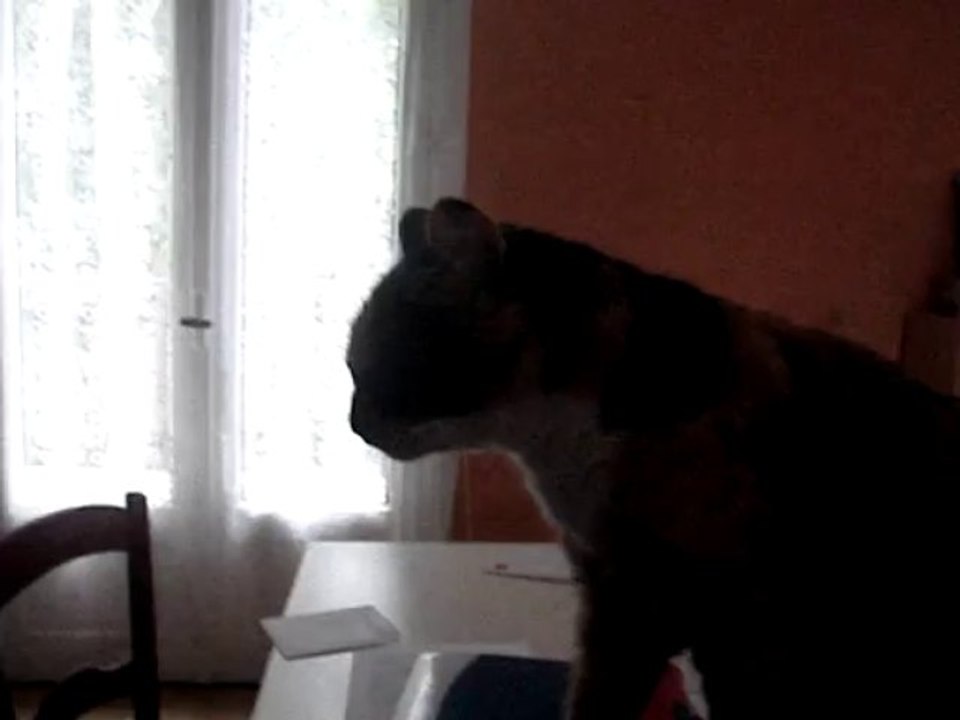 Hamande