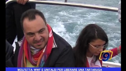 Molfetta: WWF  e UNITALSI per liberare una tartaruga