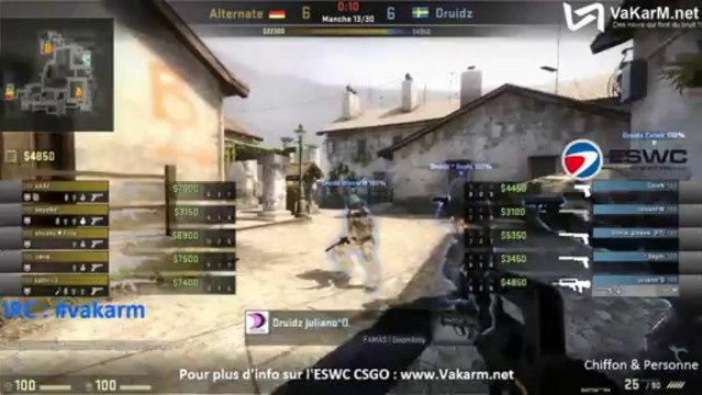 ESWC 2013 : Druidz vs Alternate - Grande Finale Ladies