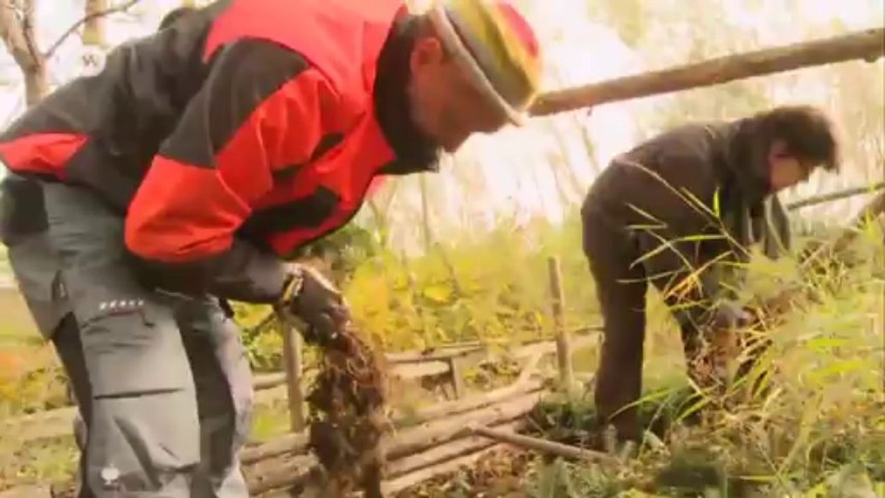 Harte Arbeit ohne Geld - Aus Liebe zum Wald | Journal Reporter