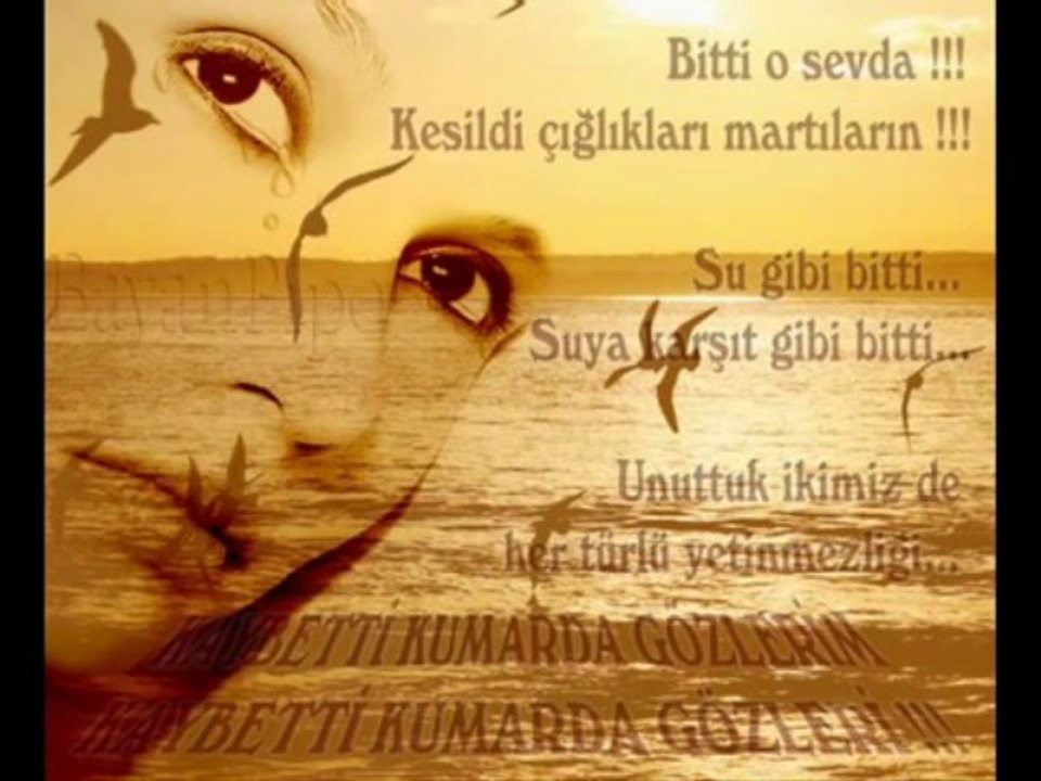 seyfi doğanay   -   ayrılık treni