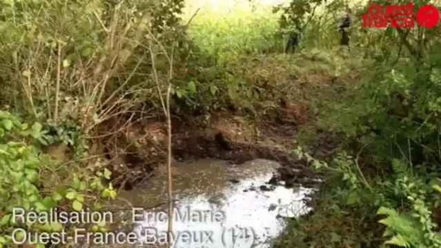 Nettoyages de mares - Nettoyage de mares à Saint-Vigor-le-Grand