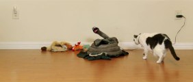 Prank CATS with Mechanical Snake!