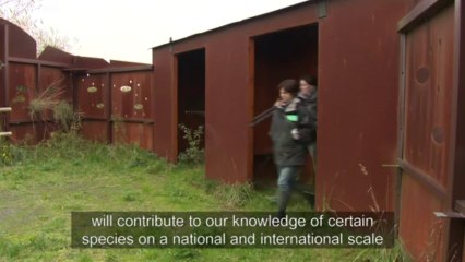 ENG - The Seine estery's natural reserve - Transat Jacques Vabre 2013 -