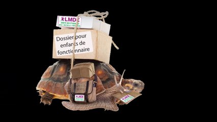 LMDE : une mutuelle à deux vitesses