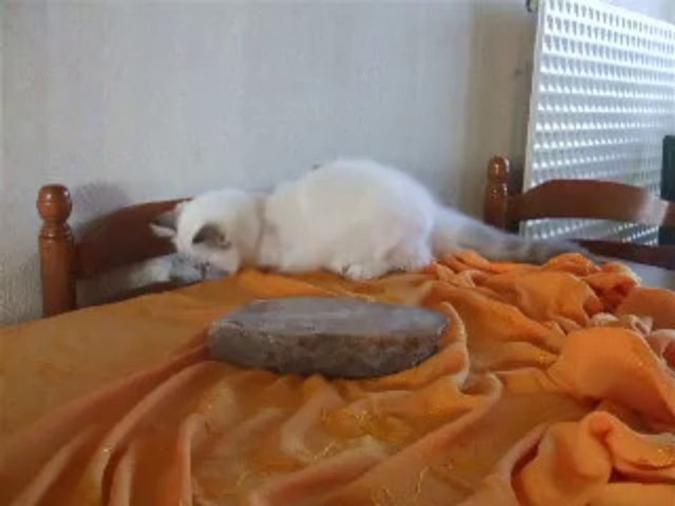 Inaëlle