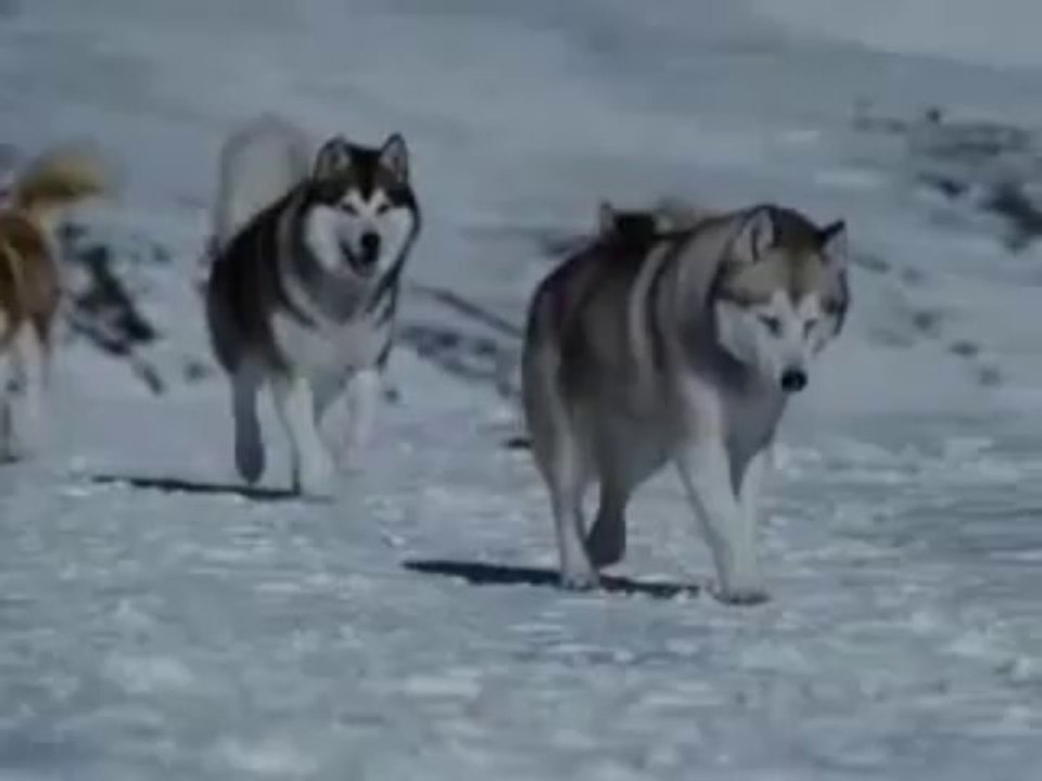 Без слов...