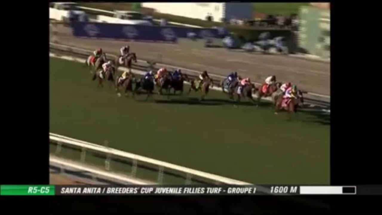 Breeders' Cup Juvenile Fillies Turf 2013