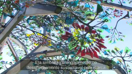 BRE - Happy coffee treeTransat - Jacques Vabre 2013