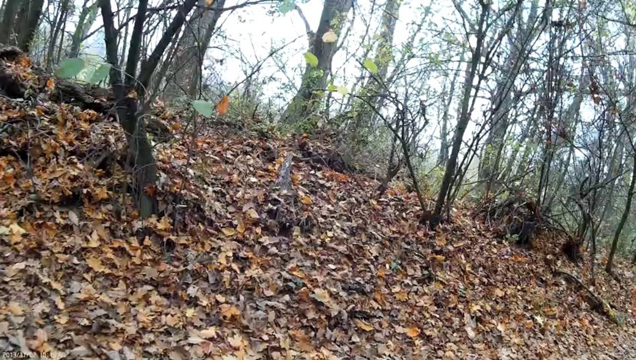 bikecrash