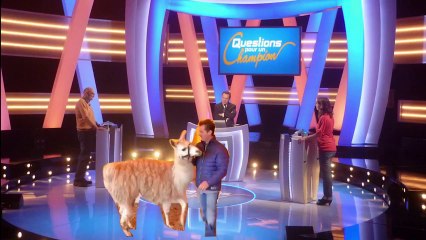 Serge le Lama - Lamaoutai