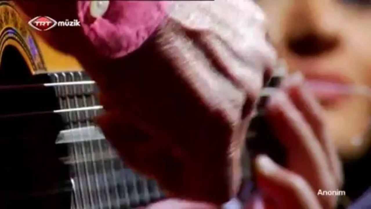 01 gülseven medar şu yüce dağların karı eridi 24.10.2013 anonim