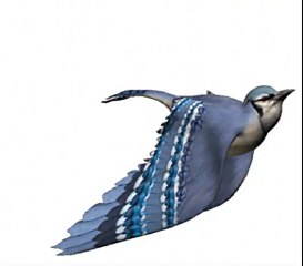 vol oiseaux - Ordinateur