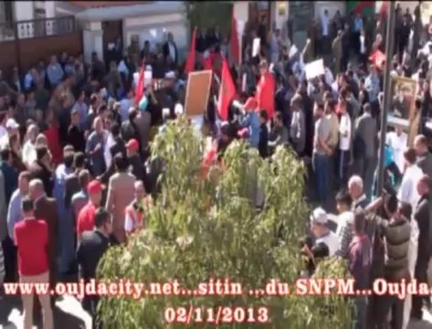 وقفة احتجاجية للفرع الجهوي للنقابة الوطنية للصحافة المغربية وفعاليات المجتمع المدني امام القنصلية الجزائرية بمدينة وجدة / المغرب