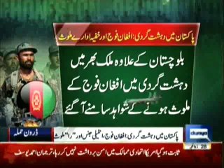 Daily News Bulletin - 2nd November 2013