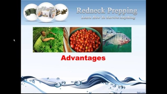 Aquaponics A New Way Of Farming