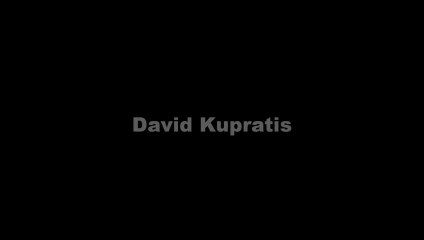 David Kupratis SAP Developer and Consultant