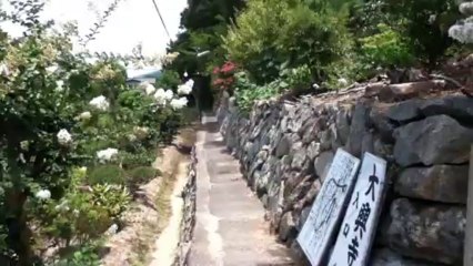 高安山ハイキング（大道ハイキング道から恩智越えコースへ）　２