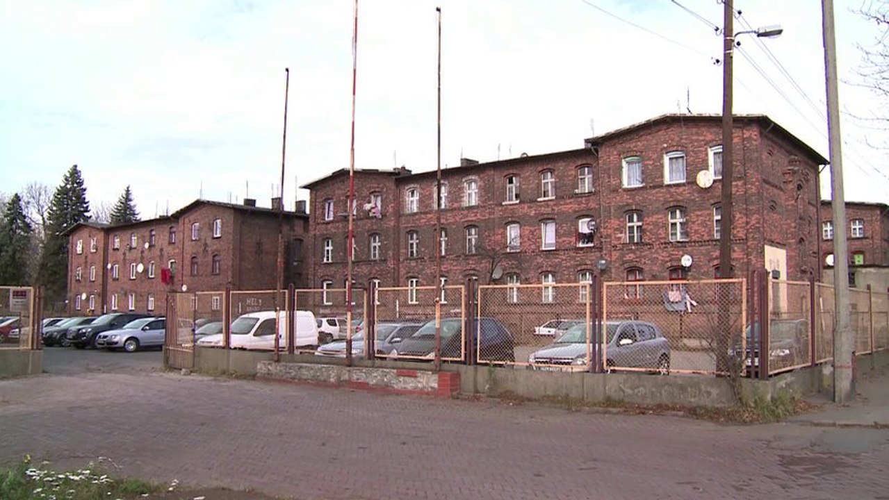 NIE ZROBILI NIC