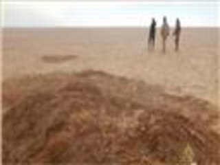 92 جثة لمهاجرين من النيجر في الصحراء الكبرى