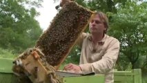 Canadian beekeepers face bleak future
