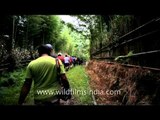 Walking between bamboo groves: Heritage Tour underway