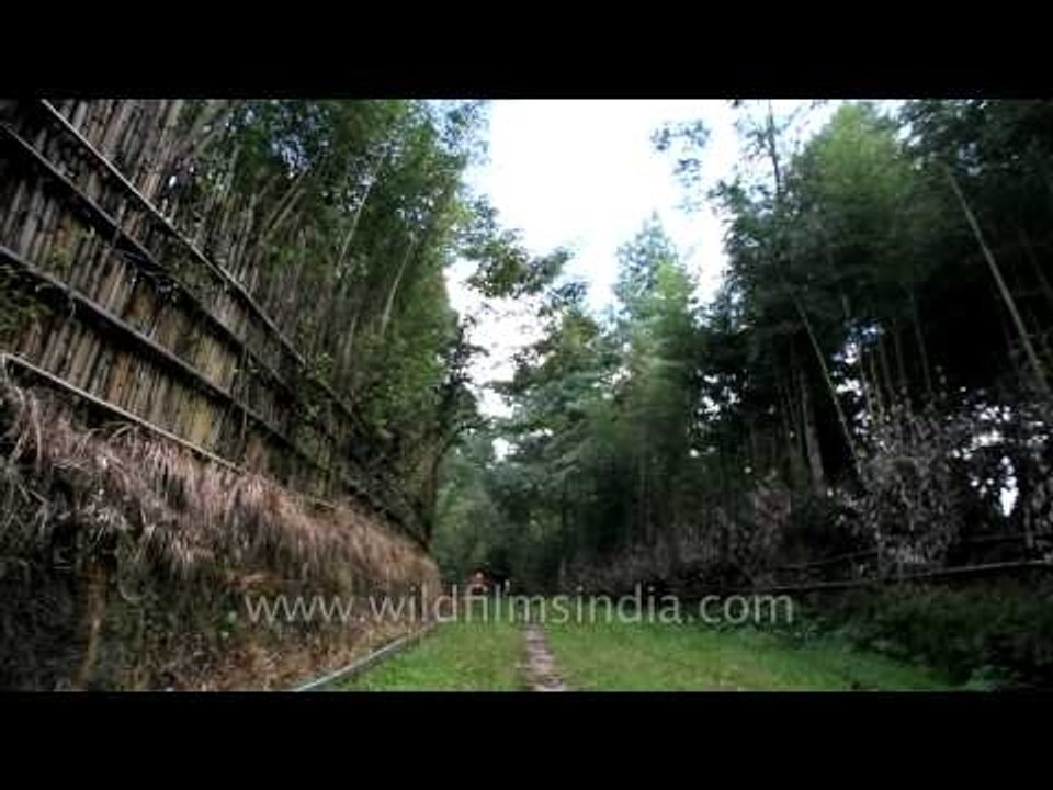 On the way to the 'Egg Garden' : Heritage Tour continues