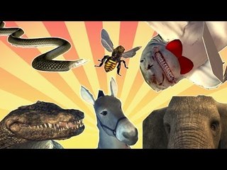 The Vicious Badass Animal (VBA) Awards Ceremony