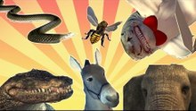 The Vicious Badass Animal (VBA) Awards Ceremony