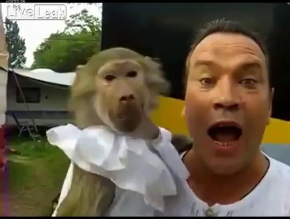 يخلق من الشبه اربعين