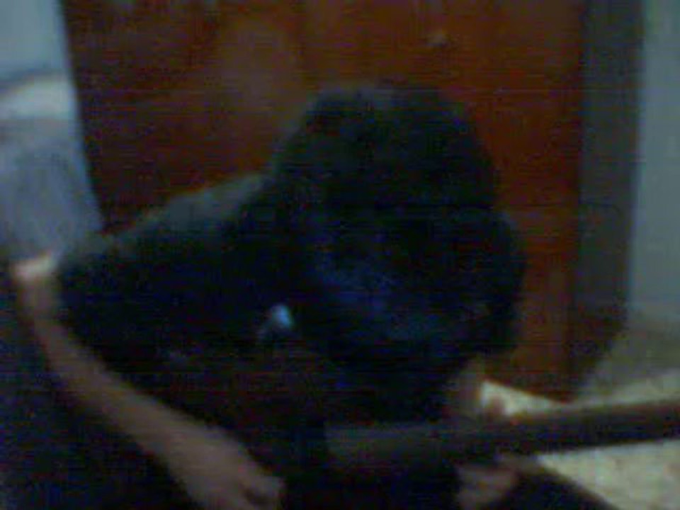 Zakk Wylde - Farewell Ballad - Cover Guitar