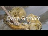 Dave Gorham on hdd guru forums