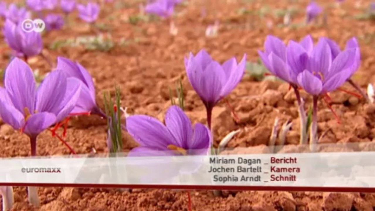 Euromaxx: Highlights der Woche | Euromaxx