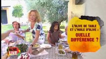 Saveurs d'Olives Saveurs d'Espagne - Episode 3