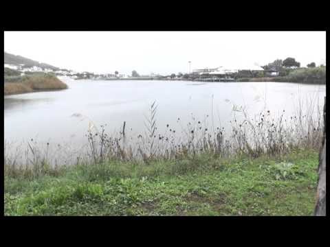 Campania - Terra dei Fuochi, le verifiche sulle rivelazioni di Schiavone (02.11.13)