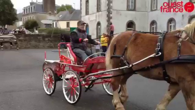 Dernière parade pour les chevaux et leurs maîtres - Concours de chevaux de trait