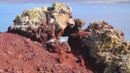 Descente musclée aux Canaries