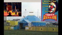 Circus AVALON