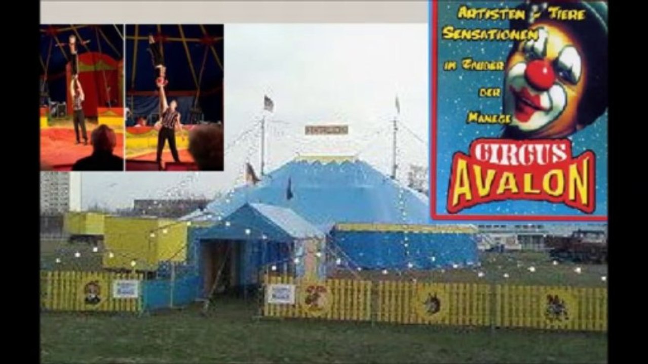Circus avalon