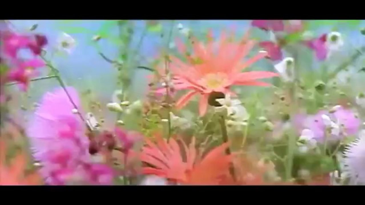 Kya Yahi Pyar Hai-Rocky Love Song [HD] (1981) - YouTube