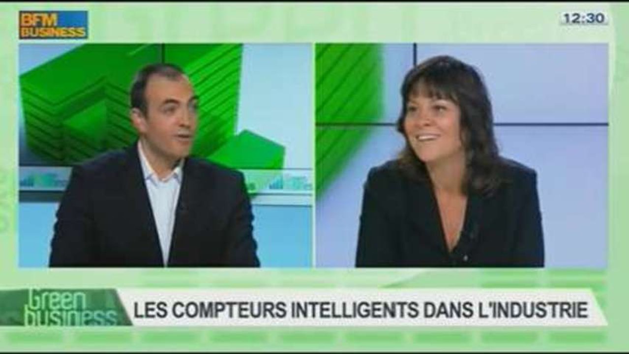 Les monnaies complémentaires à vocation environnementale et les compteurs intelligents dans l'industrie: Etienne Hayem et Laurent Romeo dans Green Business - 03/11 3/4