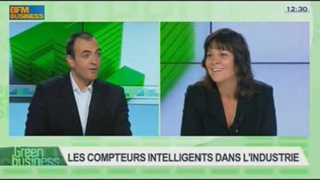 Les monnaies complémentaires à vocation environnementale et les compteurs intelligents dans l'industrie: Etienne Hayem et Laurent Romeo dans Green Business - 03/11 3/4