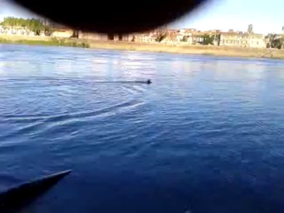 video-2013-06-23-19-53-13 henji rapport  à l'eau